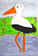 Zvoncsárová Letícia.jpg